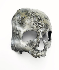 Human skull mask