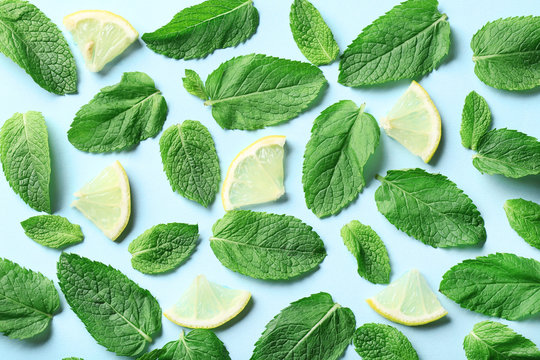 Mint leafs with lemon slices on blue background