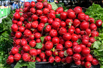Large group of red radishes beautifully displayed on a stand at a traditional food market in Bucharest, Romania