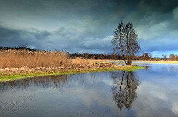 Wiosenne Rozlewiska - Rzeka Drwęca © Wojciech Lisiński