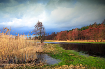 Wiosenne Rozlewiska Rzeki Drwęcy  © Wojciech Lisiński