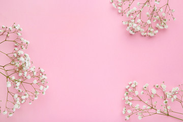 Obraz premium White gypsophila flowers on pink background