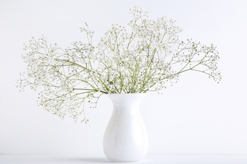 White gypsophila flowers in vase on grey background