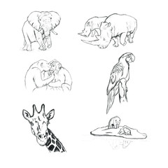 Dibujo de animales 