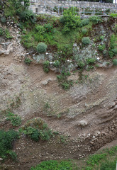 The Pool of Bethesda in the Muslim Quarter of Jerusalem, Israel