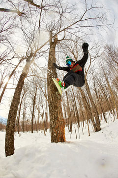 Snowboarder jibbing tree