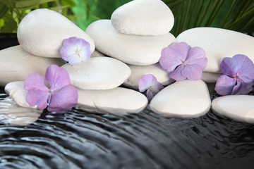 Fototapeta na wymiar Zen stones and beautiful exotic flowers in water