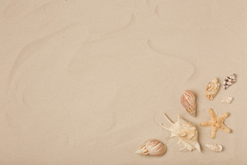 Fototapeta na wymiar Flat lay composition with sea shells, starfish and space for text on beach sand