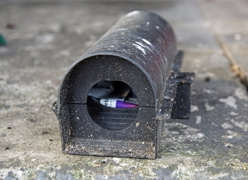 Sch&auml;dlingsbek&auml;mpfung: Rattenfallen