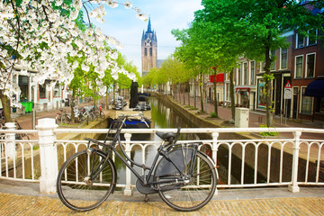 Fototapeta premium old town of Delft in spring, Holland