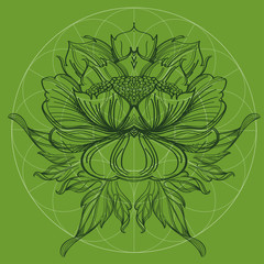 Elegant element of a stylized flower with smooth lines. Stylized floral element for design.