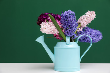 Beautiful hyacinths in watering can on table against color background, space for text. Spring flowers