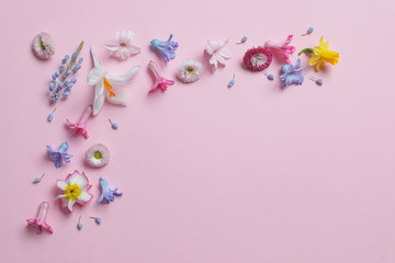 Flat lay composition with hyacinth and other spring flowers on color background, space for text