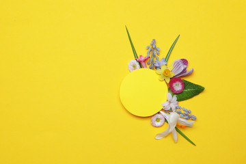 Flat lay composition with spring hyacinth flowers and blank card on color background, space for text