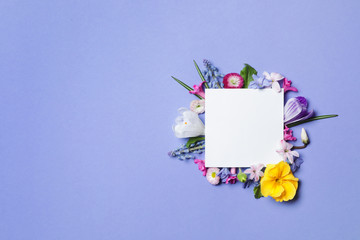 Flat lay composition with spring hyacinth flowers and blank card on color background, space for text