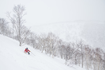 Telemark skiing in powder near Niseko United resorts in Hokkaido. - obrazy, fototapety, plakaty