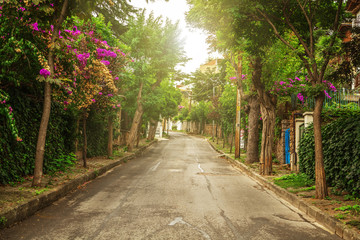 Fototapeta na wymiar The picturesque streets of the island Buyukada.