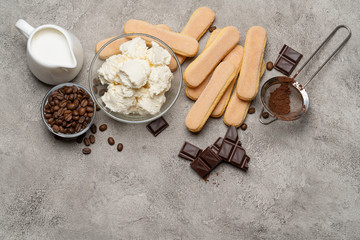 Fototapeta na wymiar Ingredients for cooking tiramisu - Savoiardi biscuit cookies, mascarpone, cream, sugar, cocoa, coffee and egg