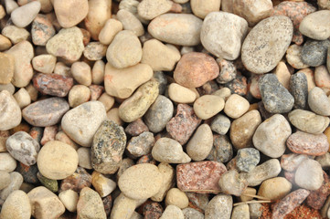 Sea stone