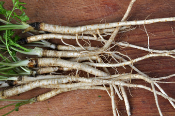 Leaves and parsley roots on the kitchen board