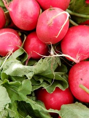 Fresh radishes perfect for garnish health and nutrition .