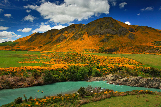 Hills and field around Boyle River, New Zealand