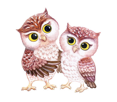 Owls. Owlet are hugging. Lovely chicks isolated on white background. Funny cartoon  birds. Watercolor. Illustration. Clip art.