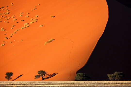 Sand dune, Sossusvlei, Namib Naukluft Park, Namib Desert, Namibia, Africa