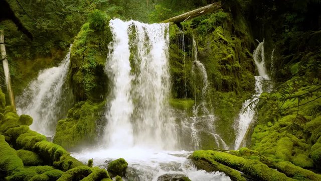Amazing waterfall and moss covered rocks in Oregon.