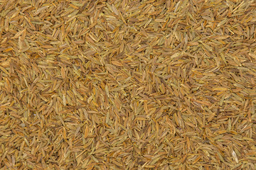Lot of whole roman caraway seeds closeup flatlay isolated
