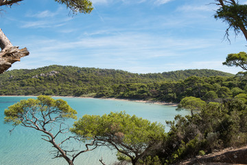Beautiful bay in Porquerolles island, in the south of France.