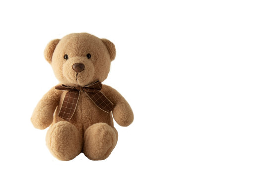 Toy teddy isolated on white background. Little toy, childhoo and education.