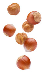 Flying hazelnuts, isolated on white background