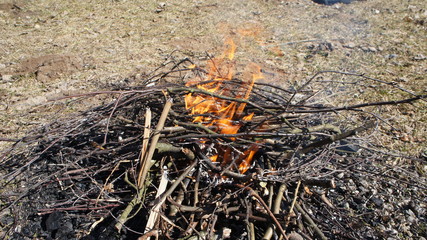 Naklejka premium Bonfire burns in the park.