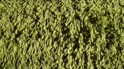 Texture of green carpet. Sunny rug.