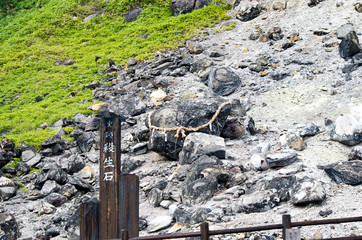 割れていない殺生石　無人