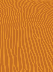 Orange wave sand ripple texture, sahara desert
