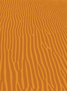Orange wave sand ripple texture, sahara desert