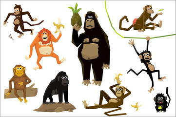 Funny monkey set, monkeys of various breeds in different situations vector Illustrations on a white background
