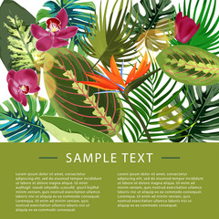 Tropical plants design template. Vector illustration with palm leaves and monstera.