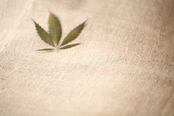 hemp fiber fabric