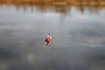 Fishing bait. Bloodworm and maggots