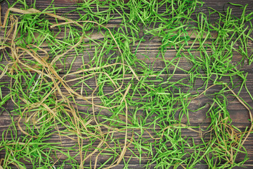Fake grass on wooden background