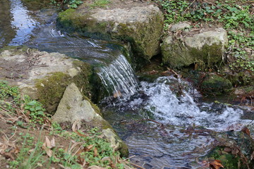 Spring brook with small cascades in the city park