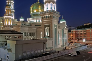 Fototapeta na wymiar Moscow Cathedral Mosque - night lighting, Russia