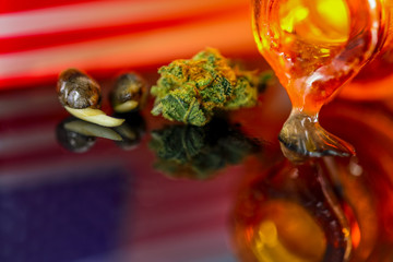 Medical Seeds and Oil  Cannanis - Germinating Seeds with Oil Cannabis CBD THC on the mirroring black background with American Flag, macro view.