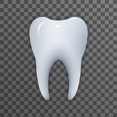 Realistic tooth. Illustration isolated on transparent background. Graphic concept for your design