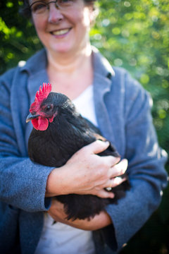 A backyard chicken coop in Austin, Texas. Backyard coops are growing in popularity throughout the country as people are wanting to source their food locally.   