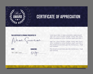 Professional certificate. Template diploma with luxury and modern pattern background. Achievement certificate.