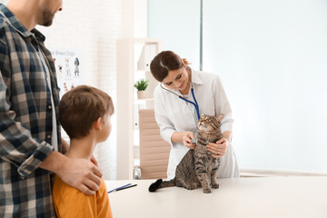 Father and son with their pet visiting veterinarian in clinic. Doc examining cat
